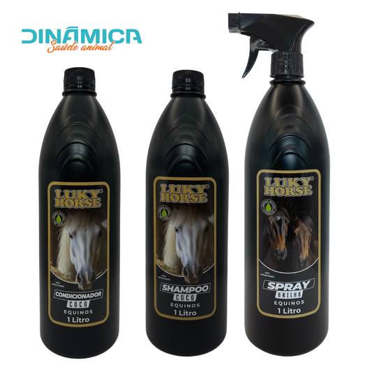 Kit 3 em 1 COCO: Shampoo, condicionador e Spray de brilho (cópia)